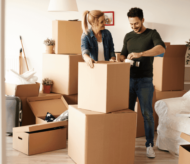 best removalists