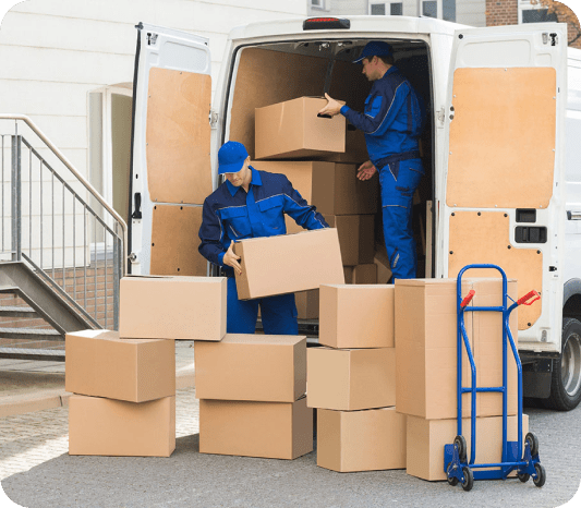 budget removals