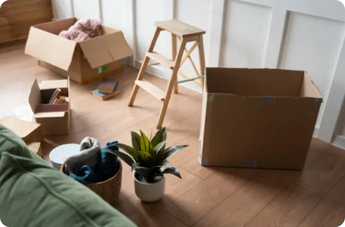 cheap removalists